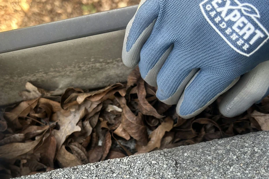 Gutter Cleaning Stonewall