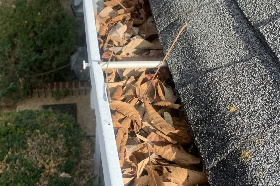 Gutter Cleaning Stonewall