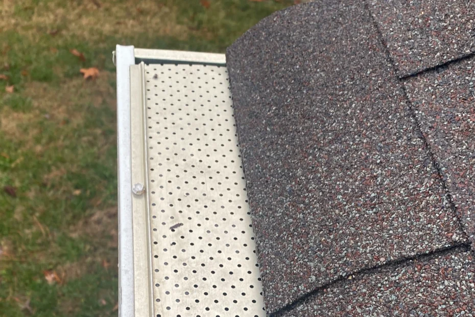 Gutter Cleaning Stonewall