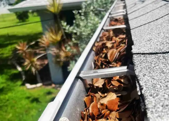 Gutter Cleaning Stonewall home page